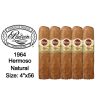5 Padron 1964 Hermoso cigars standing side by side upright, with a zoomed in image of the 1964 Hermoso cigar
