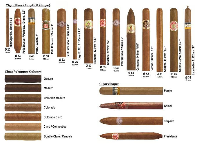 illustration image of 18 different cigar sizes and shapes along with 7 different types of cigar wrappers