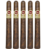 5 Padron 1964 Pyramide Maduro cigars standing side by side upright, with official Padron logo, the name of the cigar and size in text.