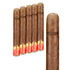 5 cigars lined up side by side, with a zoomed in image of a cigar