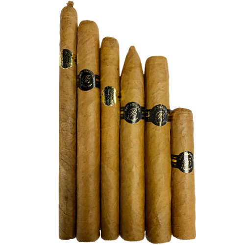 Assorted cigars in a sampler pack.