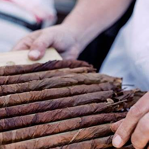 The Story of Cigars NH Cigars cigars before wrapper