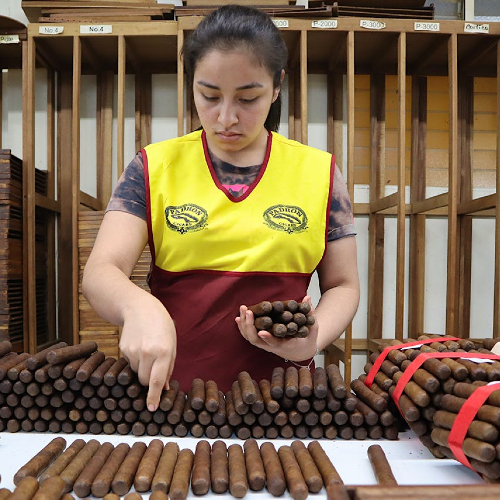 The Story of Cigars NH Cigars female cigar roller at Padron cigars