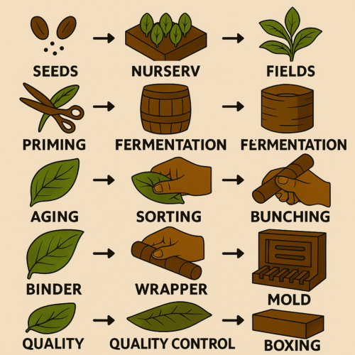 The Story of Cigars NH Cigars Smiling man enjoying a cigar.