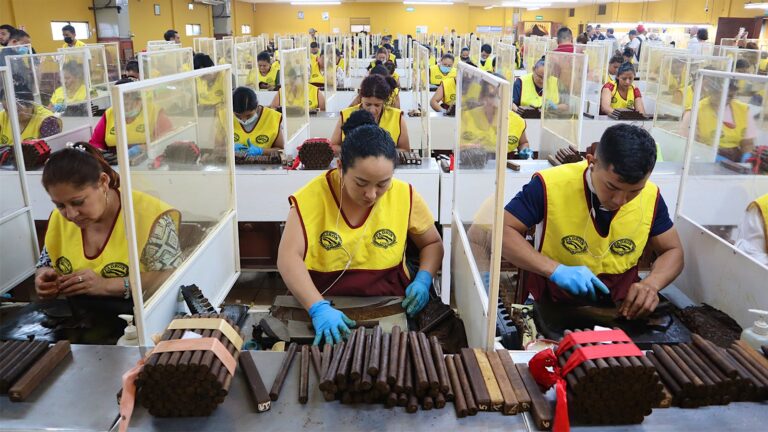 The Story of Cigars NH Cigars Workers crafting cigars in factory.